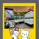 김해 강아지분양 고양이분양 도그하우스 외동점 이미지