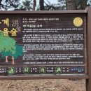 홍계마을 네이버블로그