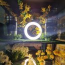 헬스보이짐 테크노밸리점 이미지