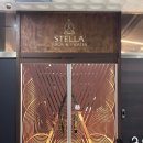 힐링요가 B팀 | 유성요가 스텔라요가&amp;필라테스 몸과 마음이 가벼워지는 힐링 수업