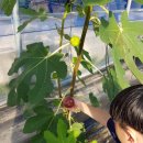 발당구장 이미지