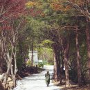 베스트캠핑장 이미지