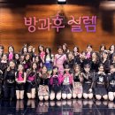 설렘모바일 스포티비뉴스