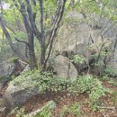 청도자연휴양림- 딴봉- 조화봉- 월광봉 - ▲천왕봉 - 오산2리 3 이미지