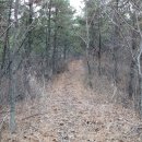 홍농가곡보건진료소 이미지