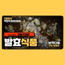 동의건강원 이미지