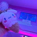 핑키펑키 전북대점 이미지