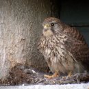 서상동143 이미지