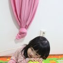 팡팡플라워 이미지