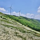 육백마지기 이미지