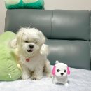 월드컵대로 147 이미지