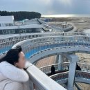 태안 가족여행 간월암 꽃게다리 천수만 펄베이풀빌라 솔직후기