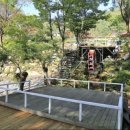 매봉힐링캠프 이미지