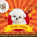 이유샵 이미지