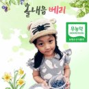 솔내음농장 이미지