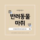 24시 더휴동물의료센터 이미지