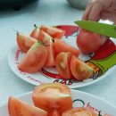 새봄컴퍼니 이미지