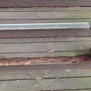 북정근린공원 이미지