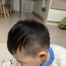 에이브이이1544