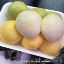 [맛칼럼/평창맛집] 오대산 월정사 앞 ‘신선희황기찐빵’ 20년전 그대로의 맛. (찐빵 종류 추천, 감자떡...