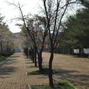 캐넌24시 | 2021년도 SSG랜더스 필드 풍경스케치와 한화이글스 킬러 박종훈 선수의 16연승과 추신수 선수의 기대
