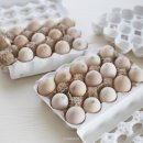 에덴농장2 이미지