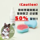 마이아미고 이미지