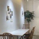 코지부호 이미지