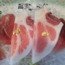 유연참치 이미지