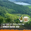광주낙우영농조합법인 | 보성여행코스 추천 비오는날에도 가기 좋은 녹차밭 카페 초록잎이 펼치는 세상