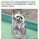 (주)단정바이오 이미지