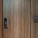 1451 | 東京 京王プラザホテル 남관 싱글룸 1451호 후기