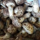 시항골농장 이미지