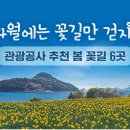 꽃길만걷자 이미지
