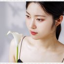 여의도의원 이미지