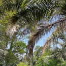 재석농장 이미지