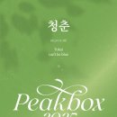 두하빌딩 | PEAKBOX 2025 : 청춘 토카이, 캔트비블루 공연 후기 나 밴드 좋아하네?
