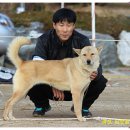 비상초등학교 이미지