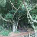 한라수목원 이미지