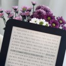 [공지] 타이완 장편소설 리뷰 [귀신들의 땅] 천쓰홍 베스트셀러 | 줄거리 | 후기 | 필사 문장 | 스포 없음