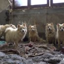 종해농장 이미지