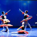 수원발레축제 이미지