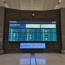 세븐일레븐 동인천다인점 | 코펜하겐 경유 스칸디나비아 항공, 아이슬란드 여행 SAS 기내식, 좌석 후기