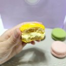 분당 쿠키 / 분당 르뱅 쿠키 / 판교 르뱅 쿠키 :: 쿠키앤지 COOKIE&amp;G 마카롱 르뱅 쿠키, 주차 후기