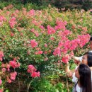 광한루추어탕 이미지