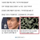 [SBS 기사] 송사무장 엑시트 EXIT "부자가 되는 길, 일단 이것부터 몸에 익혀라" 이미지