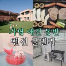 모모펜션 | 가평 애견 동반 펜션 풀빌라 모모애견풀빌라 숙소 재방문 후기