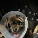 (주)몽스 이미지