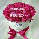 행복연장전 이미지