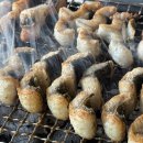 백송고등학교 | 고양시 장어맛집 가성비 좋은 장어동네 덕이점